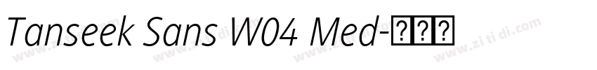 Tanseek Sans W04 Med字体转换